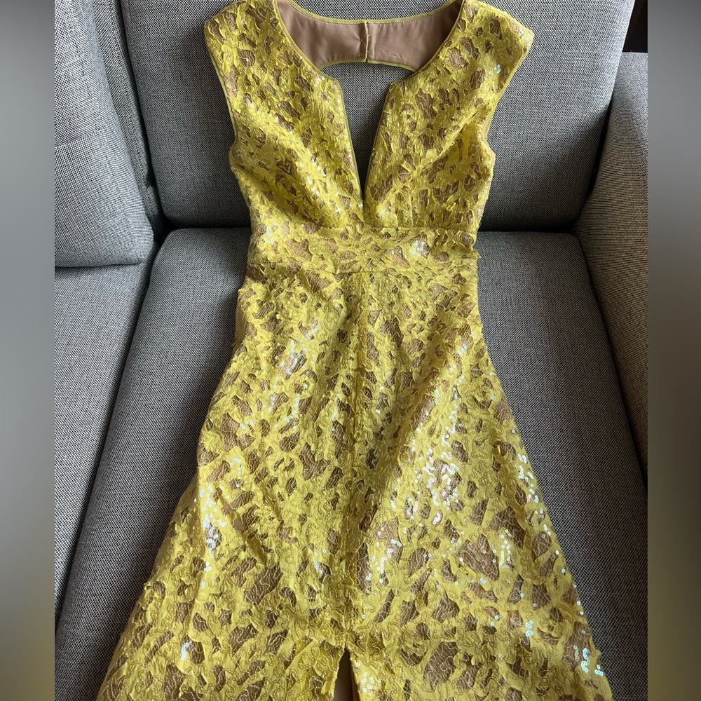 BCBG Lace Maxi Dress